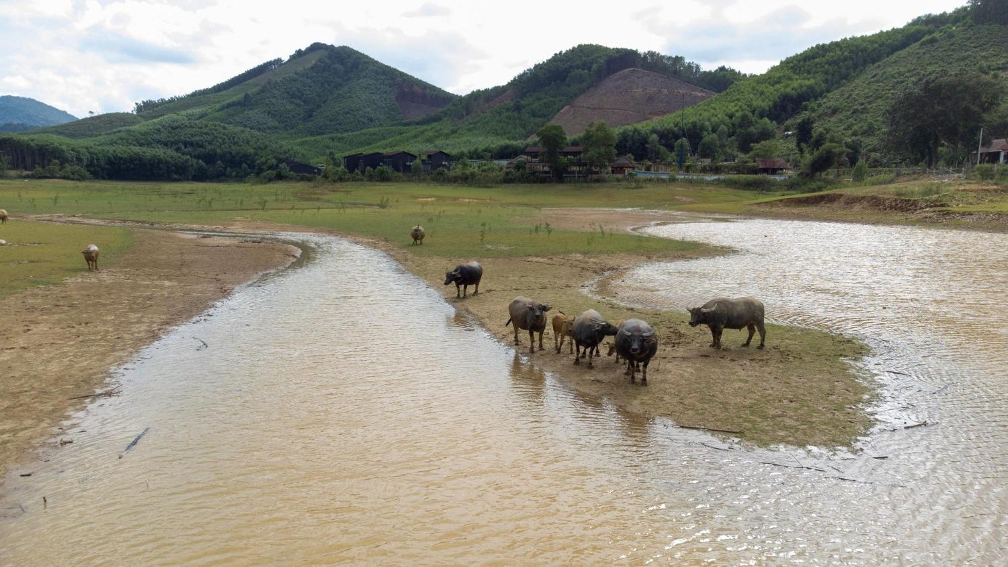 Nguyen Shack Retreat * Phong Nha